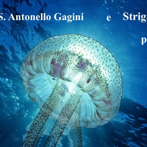 “Le foto sanno di magia” – commento di Maria Grazia Maranci alla mostra “Il mare è vita”