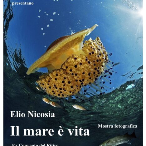 “Le foto sanno di magia” – commento di Maria Grazia Maranci alla mostra “Il mare è vita”